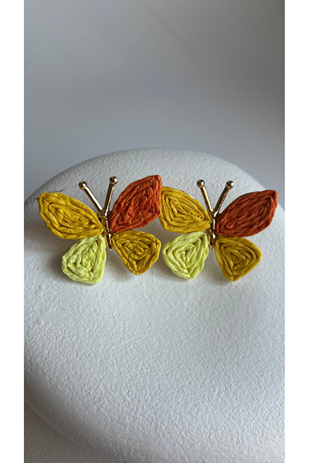 Colorful Butterfly Straw Earrings (3.5 cm)