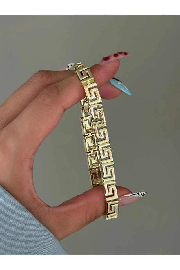 سوار شانجل الفولاذي