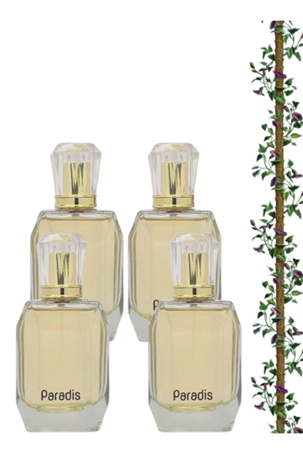 4 قطع عطر باراديس 100 مل