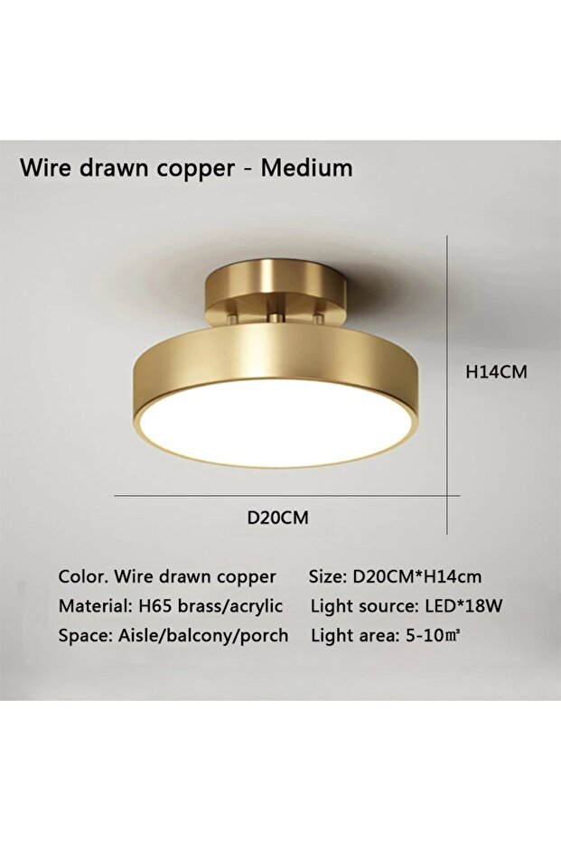 Warm white Gold 20CM Modern LED Ceiling Light Copper Lamp For Bedroom Living Room Light Nordic Round