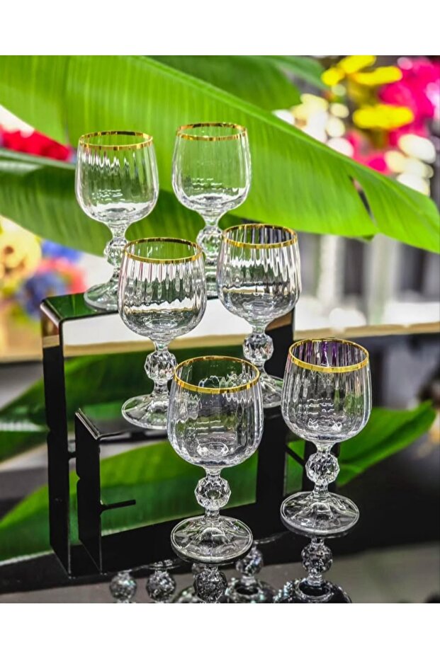 Bohemia Crystal Optical Goblet Set of 6 – Stylish Glass Goblet with Real Gold Gilded Rim