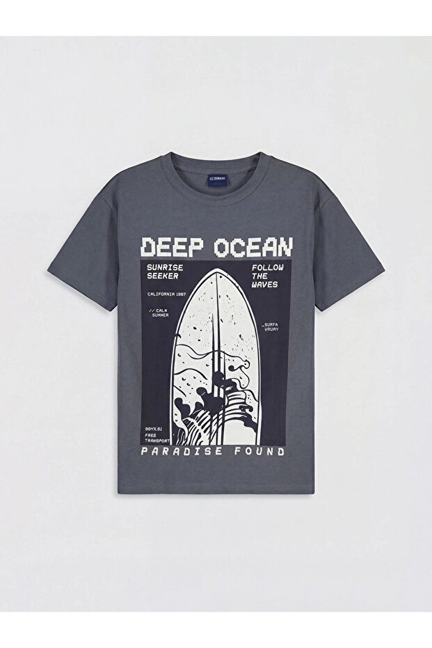 Lcw Kids Gray Crew Neck Printed Boys T-Shirt