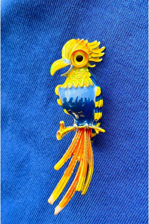 Broş