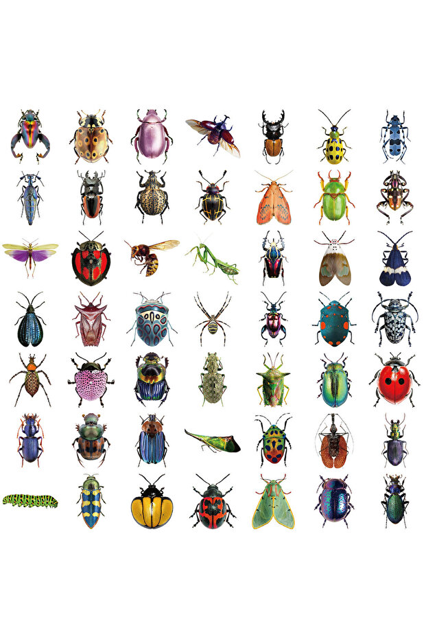 50PCS 50PCS Transparent Cartoon Insect Sticker Pack - Waterproof Clear PET for Scrapbook Guitar Note