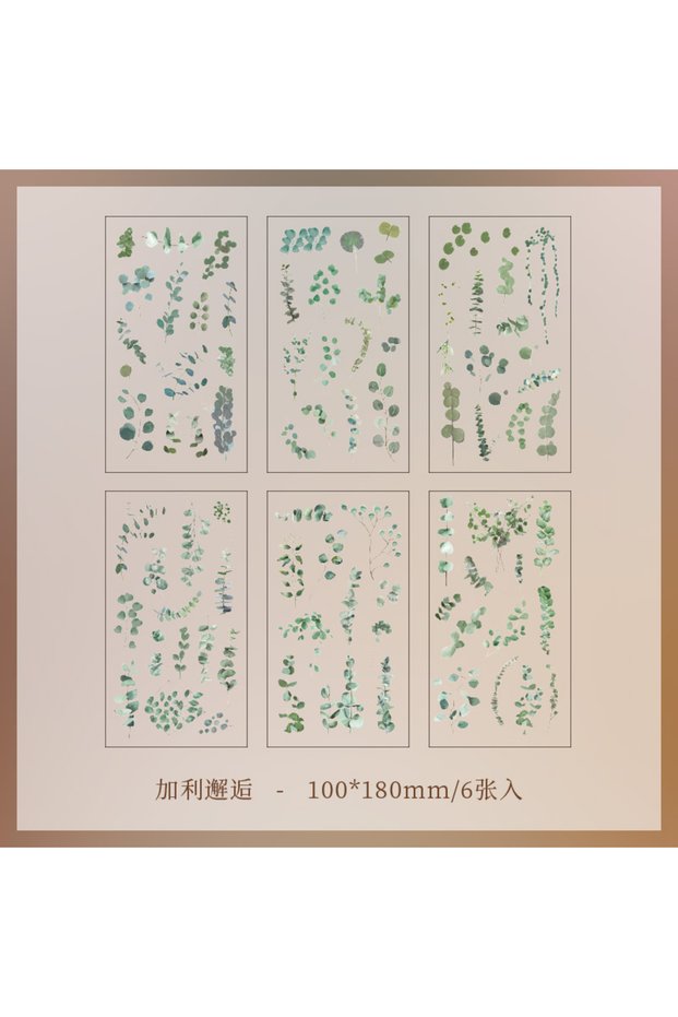 3 6pcs/pack Transparent PET Stickers Scrapbooking Materials DIY Junk Journal Collage Floral Leaves .