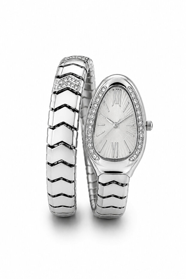 Women's Snake Model Stone Detailed Steel Case Wristwatch