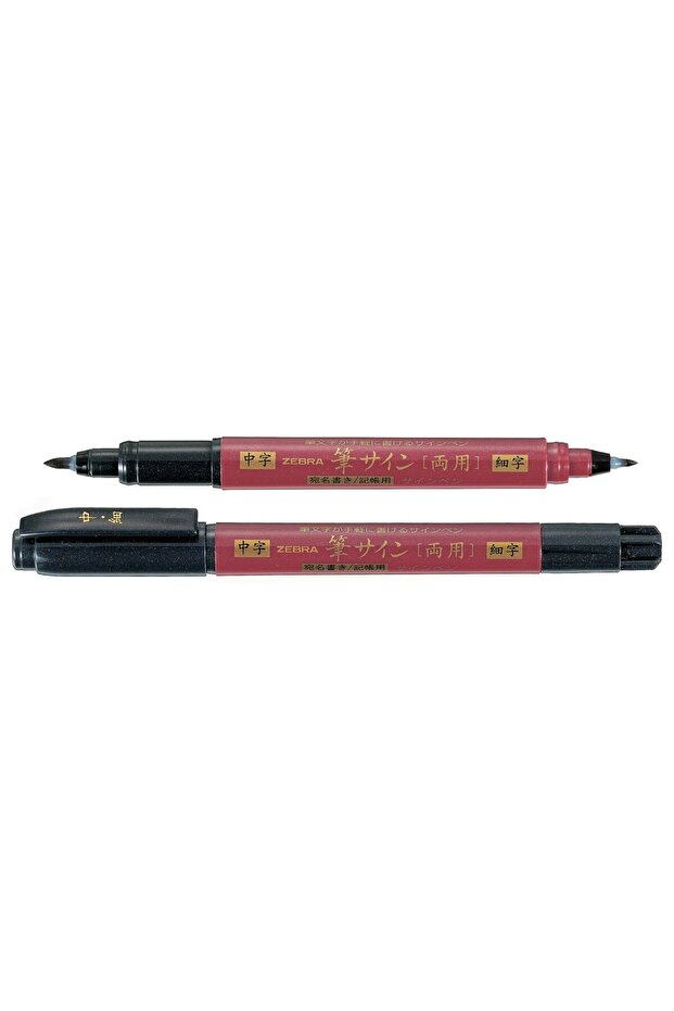 Brush duo WFT5