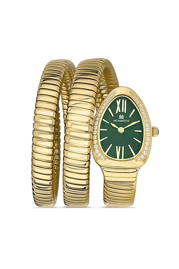 Ss256G-15Sg Wristwatch