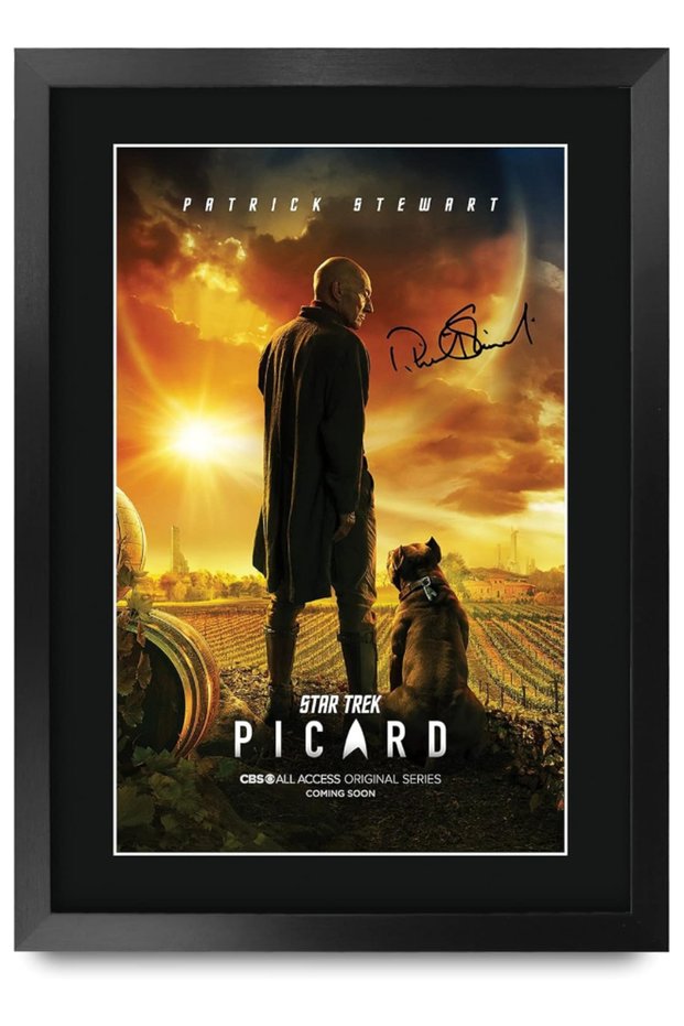 A3 FR Star Trek Picard Patrick Stewart Gifts Printed Signed Autograph Picture for TV Memorabilia Fans - A3 Framed