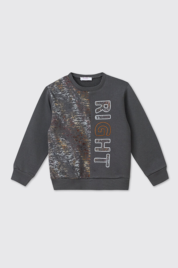 Baby Boy Anthracite Sweatshirt