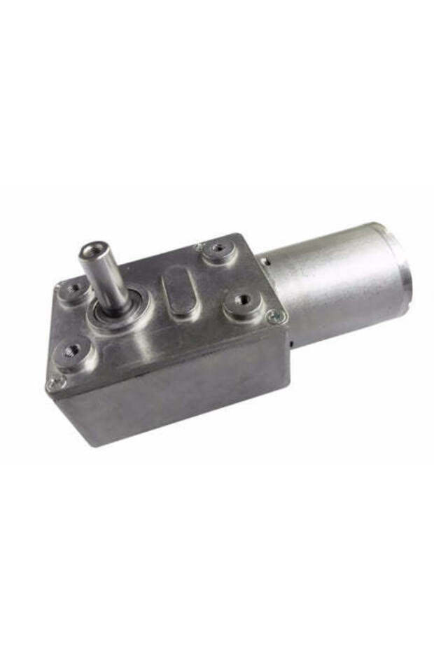 JGY370 12V High Torque Worm Gear Motor
