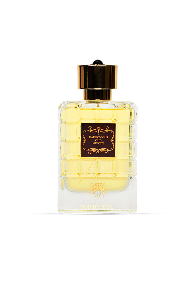 Harmonious Oud Melody