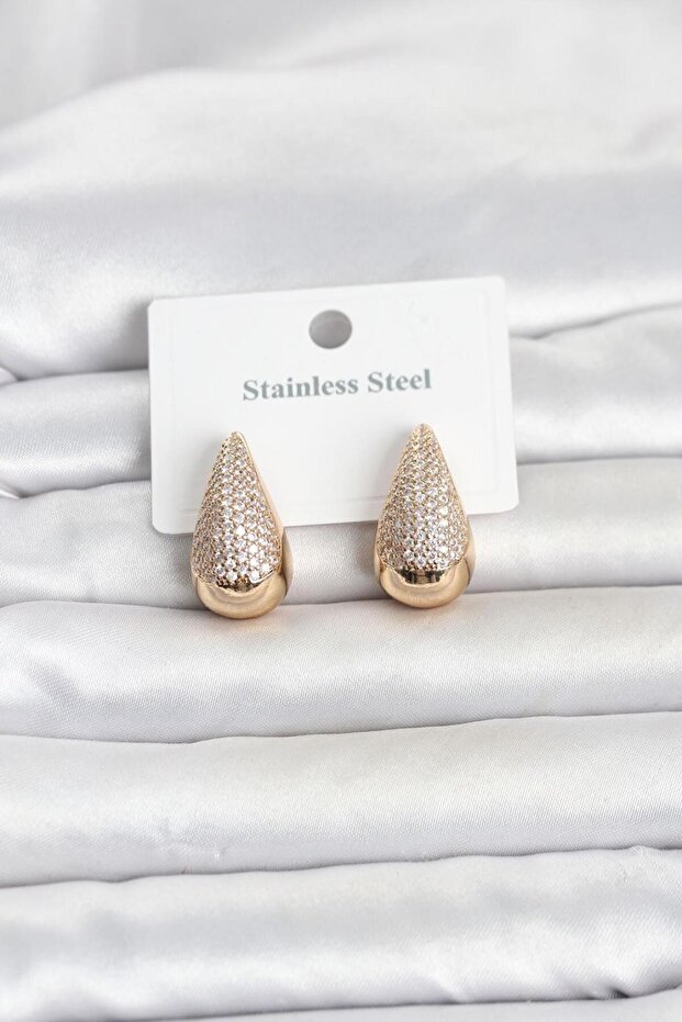 316L Stainless Steel Zircon Stone Drop Model Women's Earrings