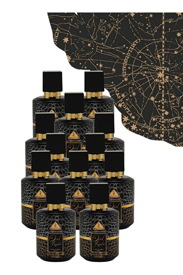 12 قطعة عطر عود عربي 100 مل