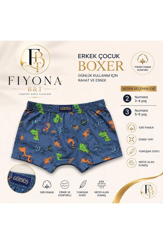 Boy's Boxing