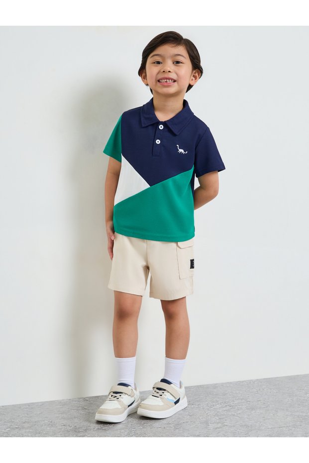 Boys Color Block Polo T-Shirt And Shorts Set