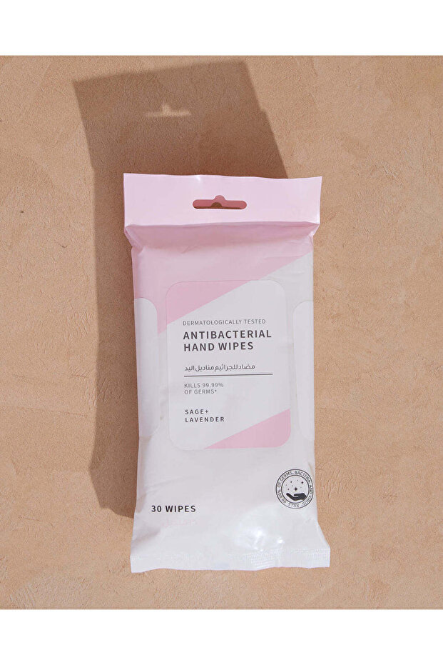 Pink Antibacterial Hand Wipes 2 Pcs Set (60 Wipes Each)