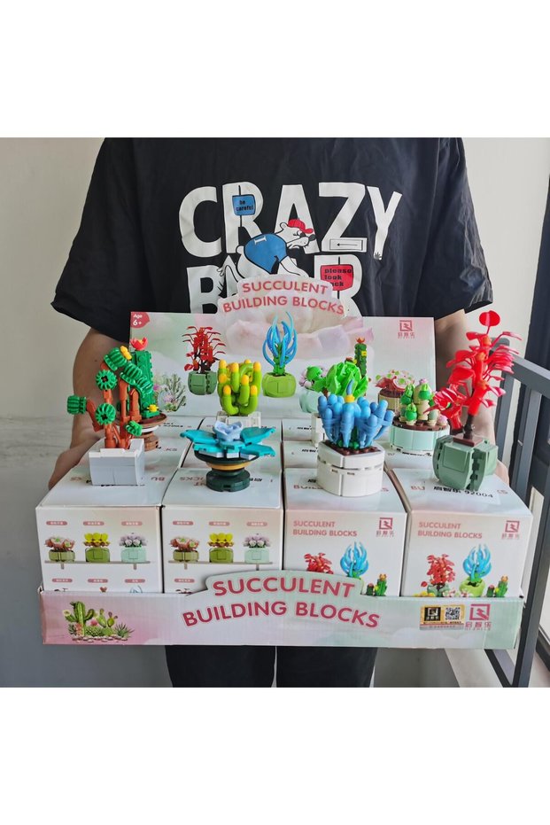 12PCS Original Box 12PCS/Set Blind Box Toys Building Block Flower Succulents Plant DIY Children Asse