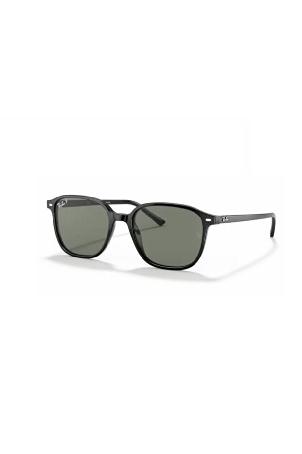 Sunglasses Rb2193 55 901/58