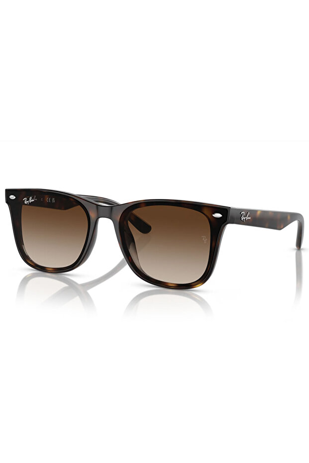 Rb4420 710 13 65 Unisex Sunglasses