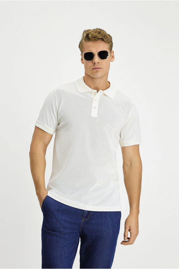Slim Fit Slim Fit Cotton Non-Curling Polo Neck T-Shirt