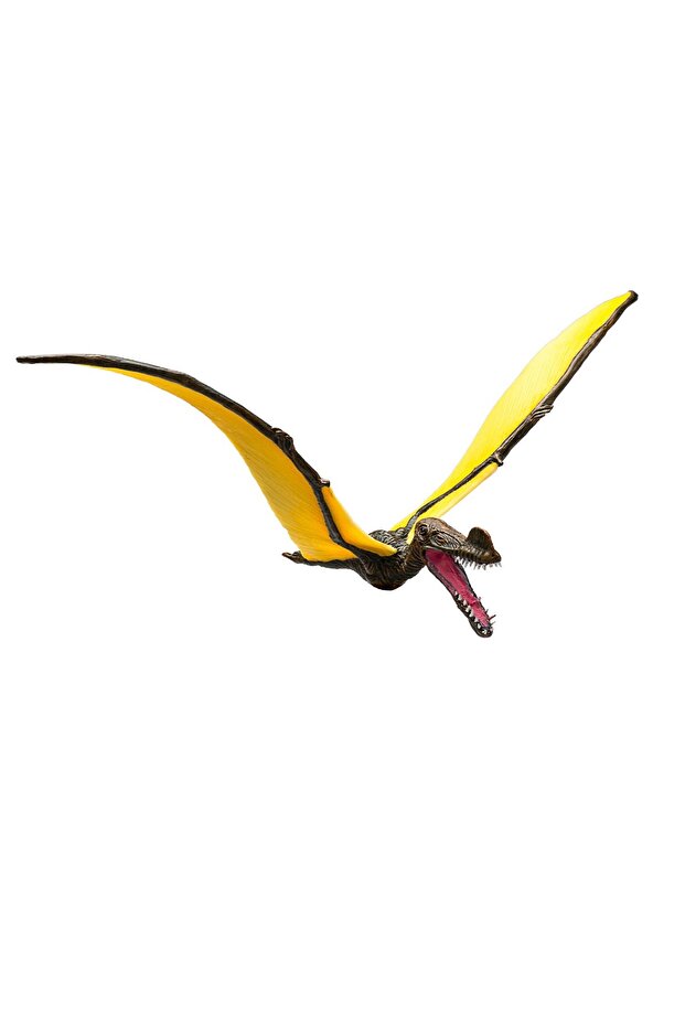 Figurina Mojo, Pterosaur Tropeognathus - 3