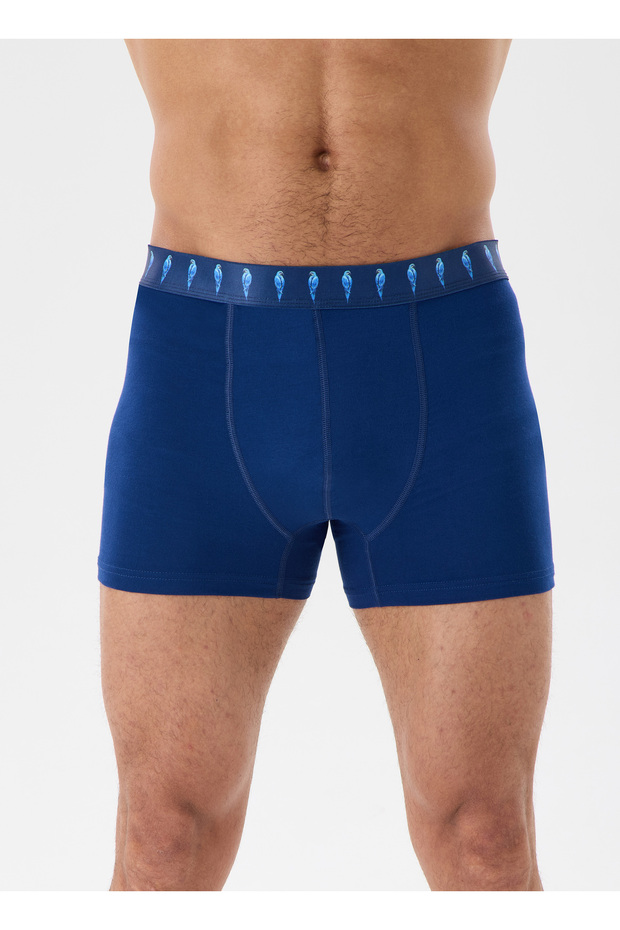 TENCEL™ Modal Erkek Boxer (3'lü) - 6