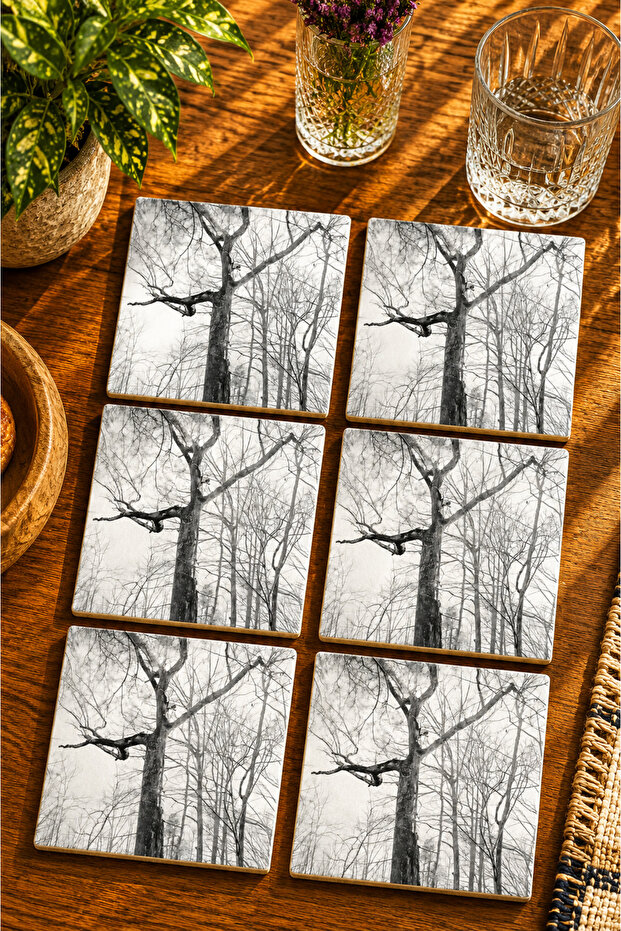 Natural Scenery Modern Set of 6 Coasters - Uv Printing Mdf - 10X10 cm