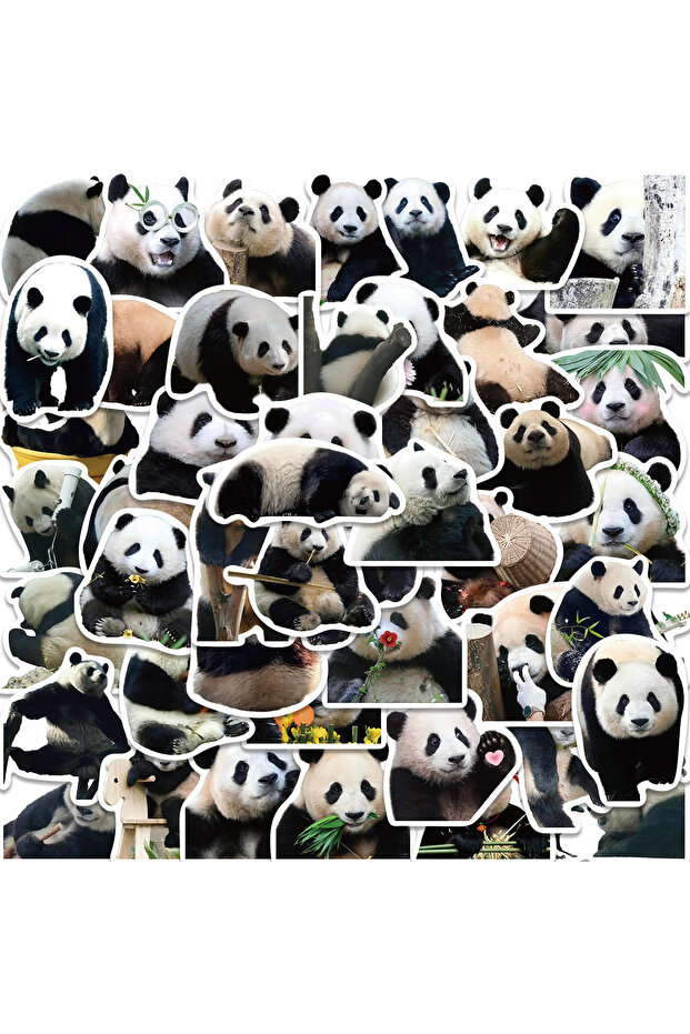 panda 50pcs 50PCS Cute Panda Cartoon Animals Graffiti Stickers DIY Phone Guitar Laptop Notebook Suit
