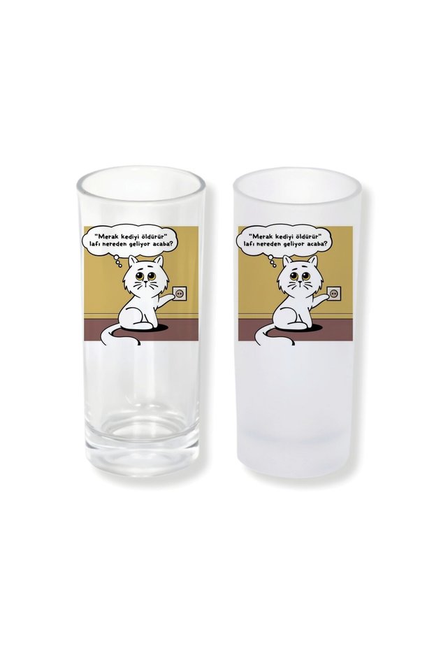 Curious Cat Raki Glass with Ice/Iceless Options – 1 Stylish Presentation Glass 0122