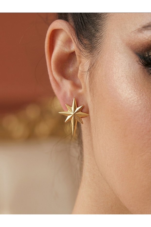 Polar Star Women's Earrings Gold Color Minimal Stylish Design Steel Jewelry