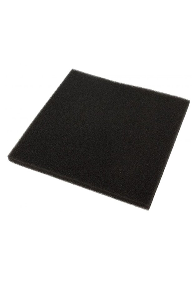 Sponge Filter, Before Motor