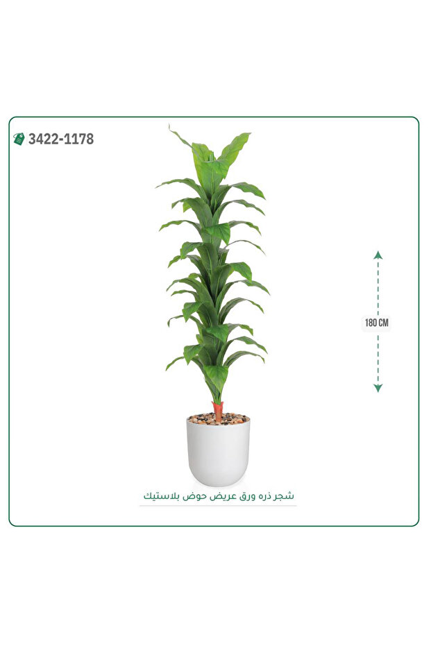 شجرة ذرة صناعية حوض بلاستيك { ارتفاع 180 سم }