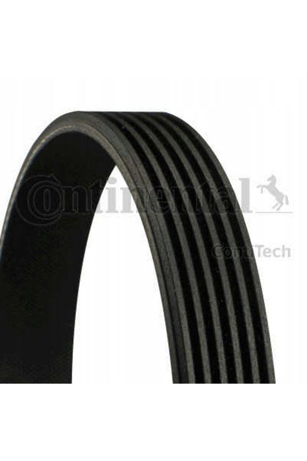 Curea Poly-V Continental 6PK1020 EXTRA