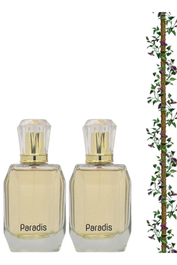 قطعتان من عطر باراديس 100 مل