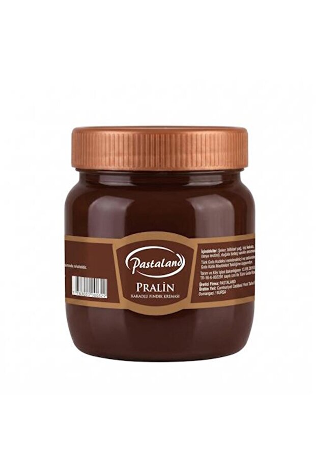PRALİN 500 GR