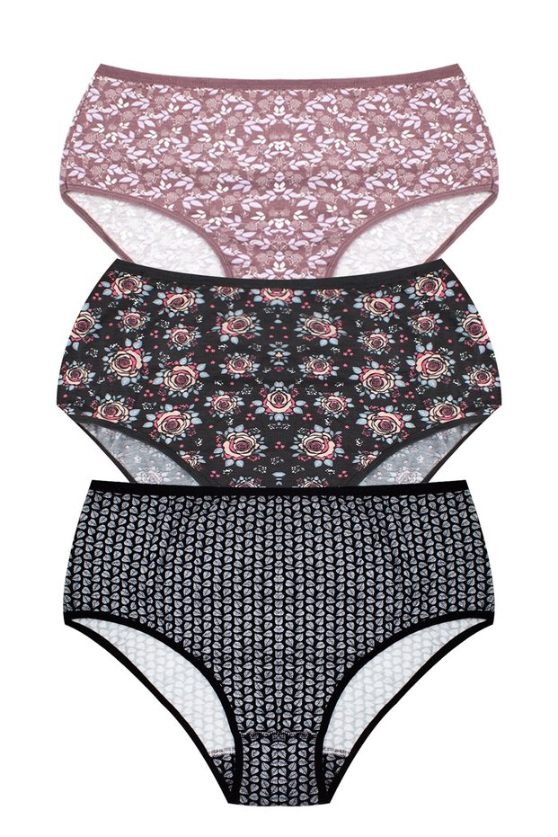 Women's 3-Piece Cotton Panties Pack High Waist High Cut Special Flexible Fit (Hd4436-5 / Hdbato-3)