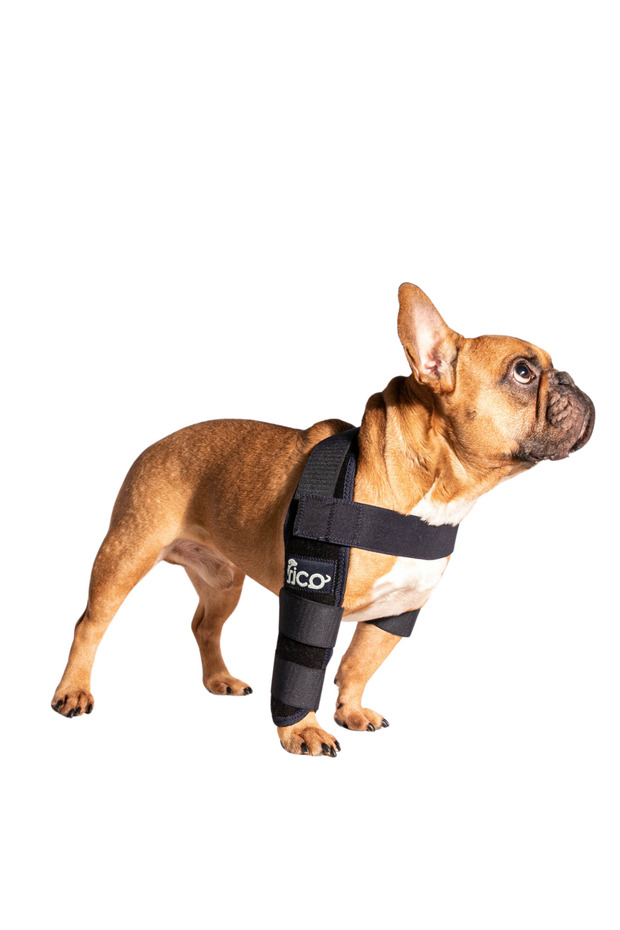 Dog Elbow Protector Left Front Leg Elbow Guard