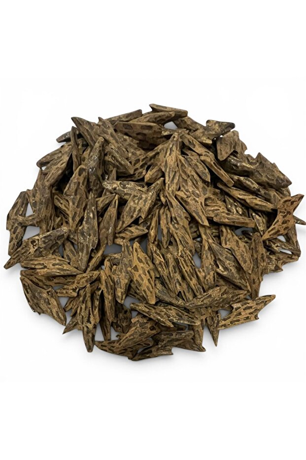 Oud Vietnamese Royal Tiger - مُحسَن أوقية - 1