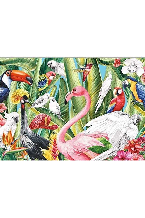 Puzzle 500 păsări ale paradisului - 2