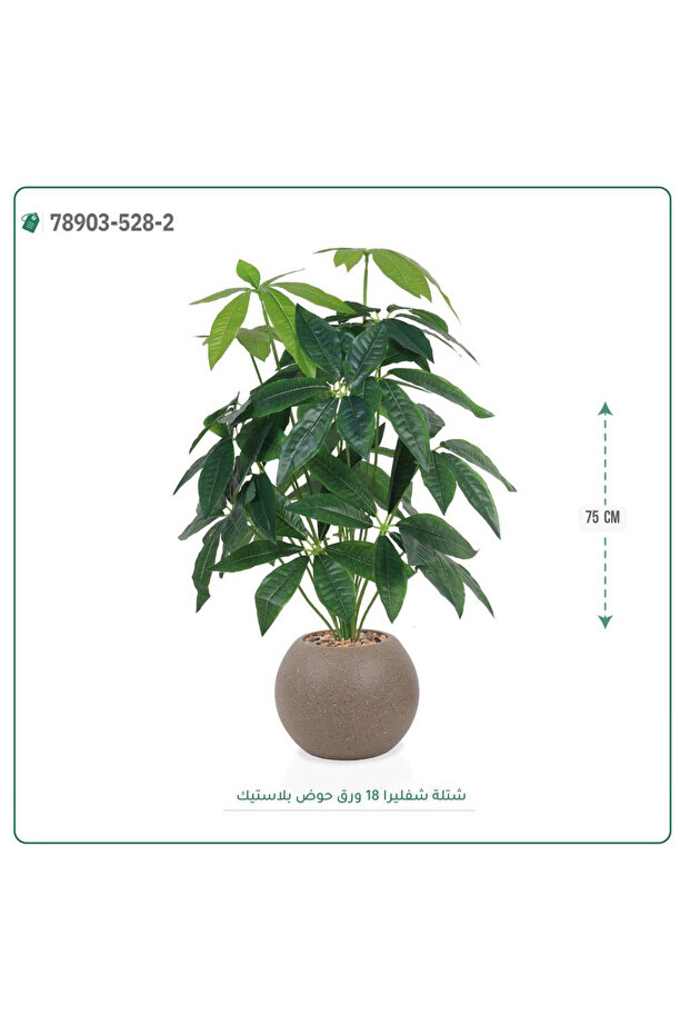 شتلة مانجو صناعية حوض بلاستيك { ارتفاع 75 سم }