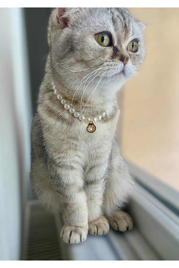 Cat Collar with Pearls – Adjustable, Stylish Cat Neck Necklace