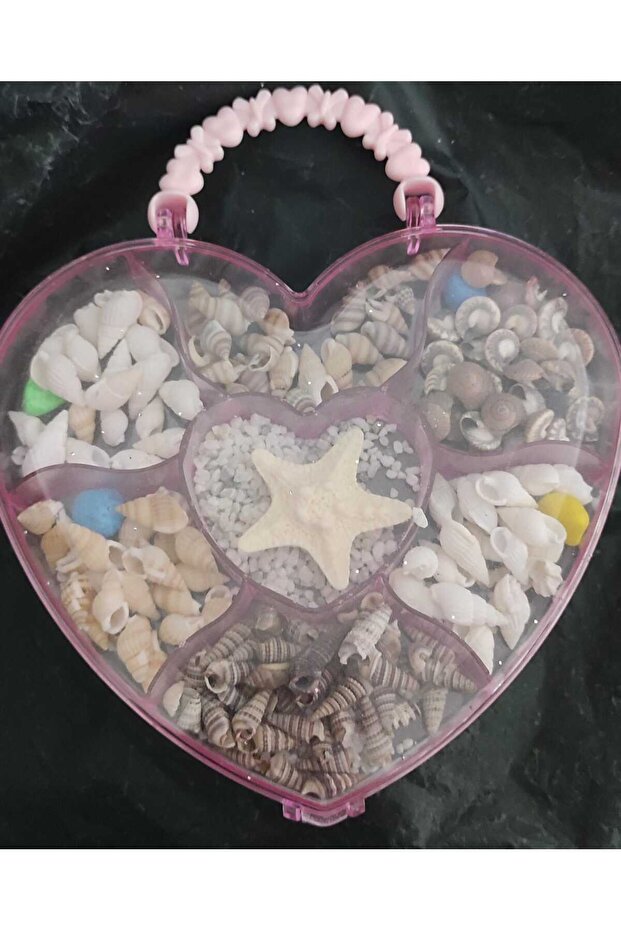 Mixed Hole Sea Shell in Luxury Heart Shaped Box with Handle Jewelry Making Supplies
