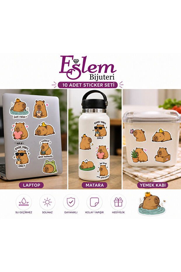 Capybara Sticker Set 5-Pack 13X18 cm Waterproof Vinyl Laptop Water Bottle Notebook Food Container Decor Sticker