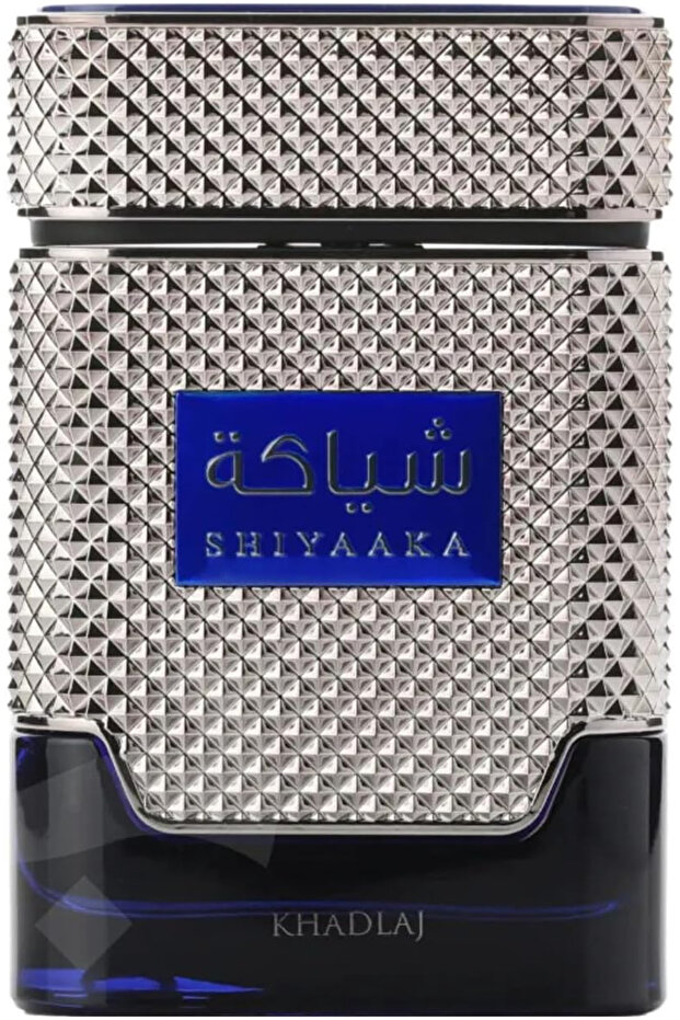 عطر شياكة اودي بارفيوم 100 مل