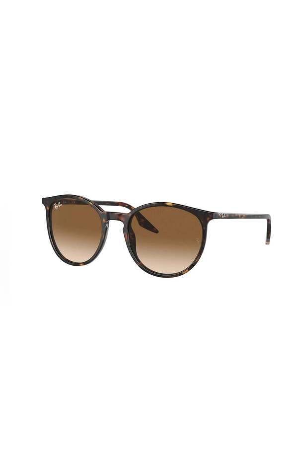 Rb 2204 902/51 51 Men's Sunglasses
