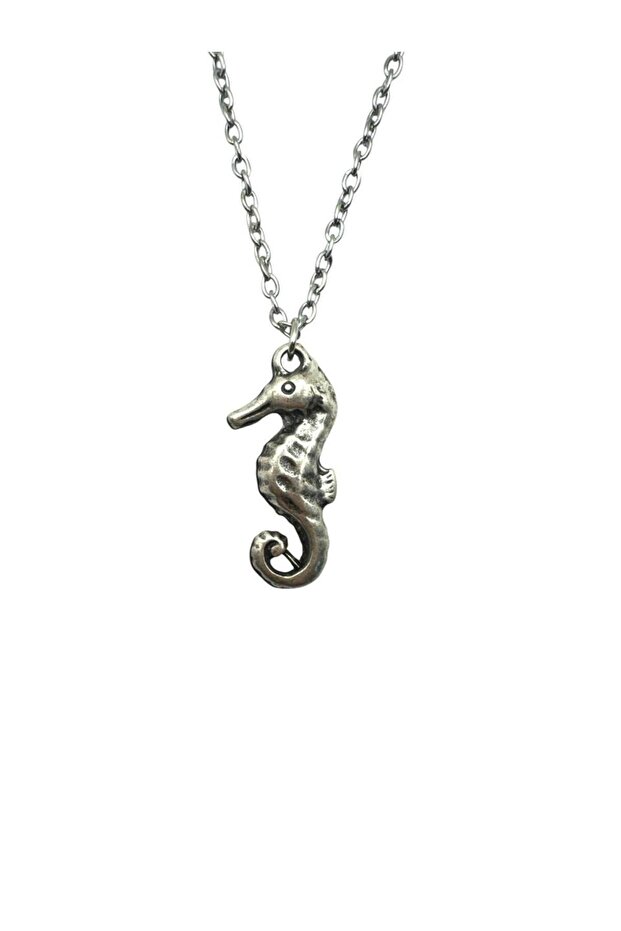 Unisex Necklace with Seahorse Figure – Elegant, Meaningful, and Sea-Inspired Design 📝 Long Product Description