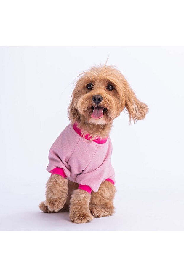 Pink Bone Hunter Dog Sweati Dog Outfit Cat Outfit