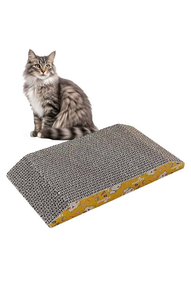 Cat Scratch Board - 1