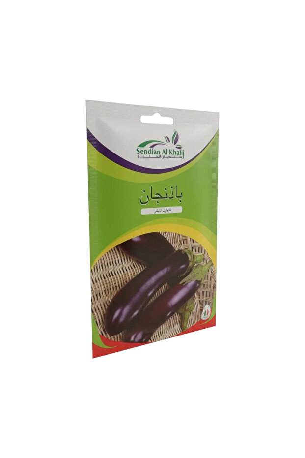 بذور زراعة سنديان الخليج - باذنجان - فيولت نابلس 2 جرام